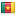 Cameroon flag